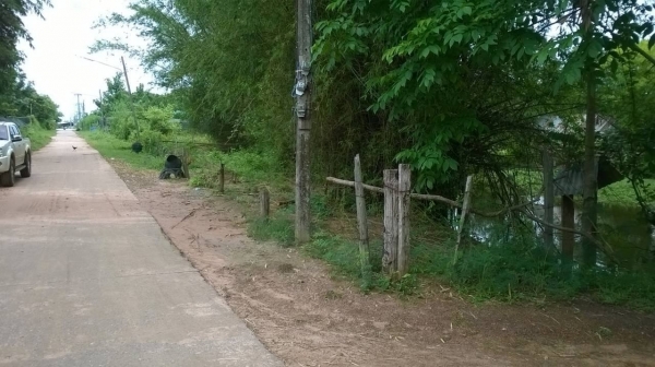 ขายที่ดิน เขตชานเมืองอุดรธานี เส้นไปหนองบัวลำภู จำนวน 11 ไร่ เศษ ไร่ละ 360,000 ต่อรองได้ครับ ขายที่ดิน เขตชานเมืองอุดรธานี เส้นไปหนองบัวลำภู จำนวน 11 ไร่ เศษ ไร่ละ 360,000 ต่อรองได้ครับ