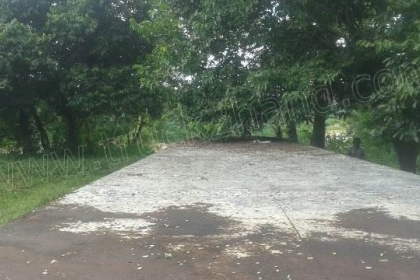 หางพื้นเรียบ   2  เพลา สามมิตร  หางปี 2542  ยาว  12.40  เมตร  กว้าง  2.5   เมตร