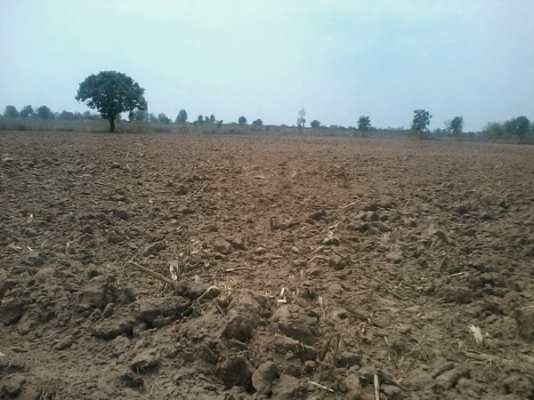 ขายที่ดิน 19-3-74 ไร่ รูปที่ดินสวยติดทางสาธารณะราคาถูก 140,000 ต่อไร่ อ.สีคิ้ว ขายที่ดิน 19-3-74 ไร่ รูปที่ดินสวยติดทางสาธารณะราคาถูก 140,000 ต่อไร่ อ.สีคิ้ว