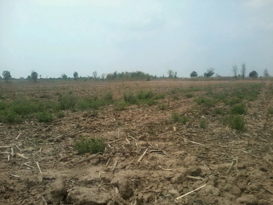 ขายที่ดิน 19-3-74 ไร่ รูปที่ดินสวยติดทางสาธารณะราคาถูก 140,000 ต่อไร่ อ.สีคิ้ว ขายที่ดิน 19-3-74 ไร่ รูปที่ดินสวยติดทางสาธารณะราคาถูก 140,000 ต่อไร่ อ.สีคิ้ว