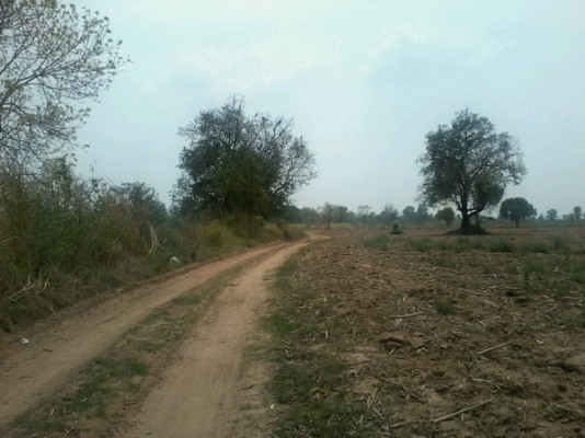 ขายที่ดิน 19-3-74 ไร่ รูปที่ดินสวยติดทางสาธารณะราคาถูก 140,000 ต่อไร่ อ.สีคิ้ว ขายที่ดิน 19-3-74 ไร่ รูปที่ดินสวยติดทางสาธารณะราคาถูก 140,000 ต่อไร่ อ.สีคิ้ว