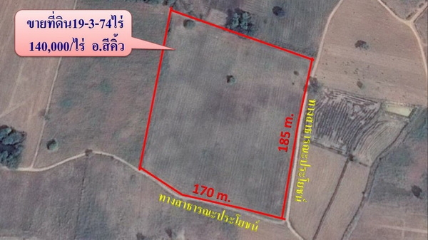 ขายที่ดิน 19-3-74 ไร่ รูปที่ดินสวยติดทางสาธารณะราคาถูก 140,000 ต่อไร่ อ.สีคิ้ว ขายที่ดิน 19-3-74 ไร่ รูปที่ดินสวยติดทางสาธารณะราคาถูก 140,000 ต่อไร่ อ.สีคิ้ว