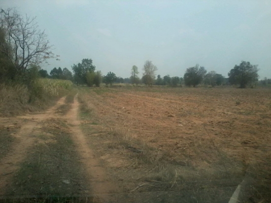 ขายที่ดิน 19-3-74 ไร่ รูปที่ดินสวยติดทางสาธารณะราคาถูก 140,000 ต่อไร่ อ.สีคิ้ว ขายที่ดิน 19-3-74 ไร่ รูปที่ดินสวยติดทางสาธารณะราคาถูก 140,000 ต่อไร่ อ.สีคิ้ว