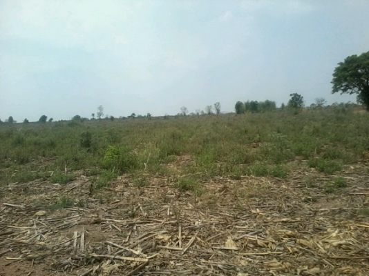 ขายที่ดิน 19-3-74 ไร่ รูปที่ดินสวยติดทางสาธารณะราคาถูก 140,000 ต่อไร่ อ.สีคิ้ว ขายที่ดิน 19-3-74 ไร่ รูปที่ดินสวยติดทางสาธารณะราคาถูก 140,000 ต่อไร่ อ.สีคิ้ว