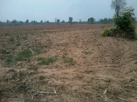 ขายที่ดิน 19-3-74 ไร่ รูปที่ดินสวยติดทางสาธารณะราคาถูก 140,000 ต่อไร่ อ.สีคิ้ว ขายที่ดิน 19-3-74 ไร่ รูปที่ดินสวยติดทางสาธารณะราคาถูก 140,000 ต่อไร่ อ.สีคิ้ว