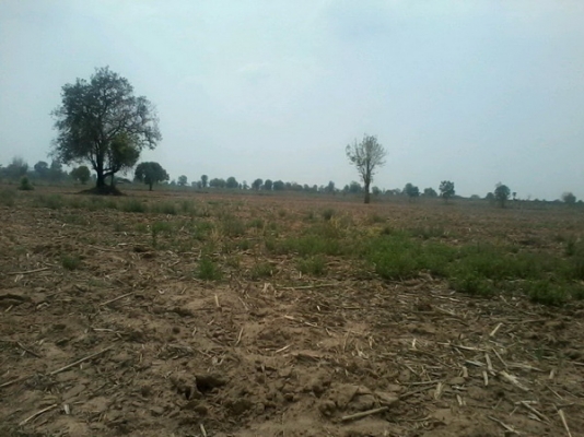 ขายที่ดิน 19-3-74 ไร่ รูปที่ดินสวยติดทางสาธารณะราคาถูก 140,000 ต่อไร่  อ.สีคิ้ว