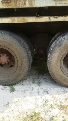 ขายด่วน!!! ไอ้หลง TD ขายด่วน!!! ไอ้หลง TD