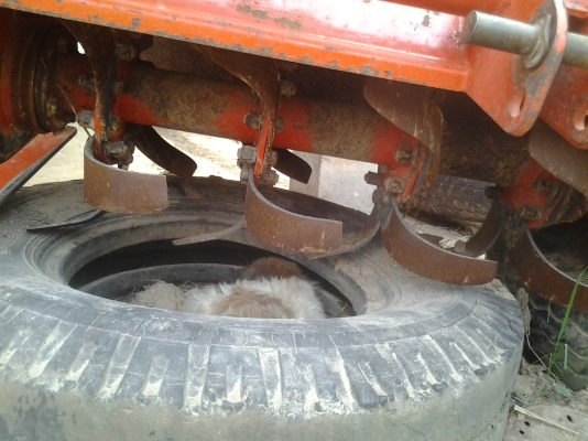 ขายตามสภาพโรต้ารีตราช้าง1.63ซ.มสภาพสวยเดิมๆติดกับรถไถคูโบต้า36แรง