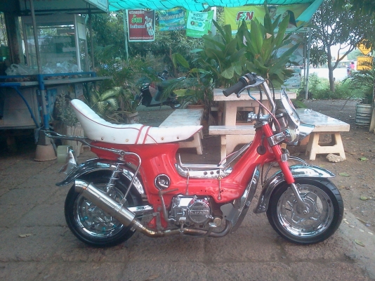 ขาย ชาลีเเต่งยุ่นล้อโต สภาพสวยๆ ราคาเบาๆ เครื่องไลฟาน 125 (เอกสารอินวอย+ใบซื้อขาย) ค่าตัว 13500 บาท สนใจทักเเชทหรือโทรสอบถามเพิ่มเติม 089-8054390 / 083-9008343 โอ๋ อยู่จังหวัด ลพบุรี