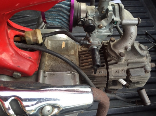 ขาย honda Dax 50c ราคา16999 ขาย honda Dax 50c ราคา16999