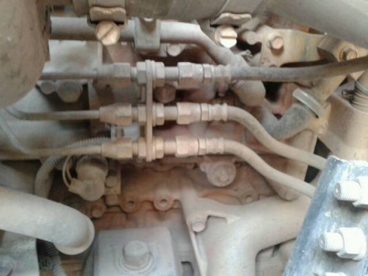 ขายด่วน10หัวลาก