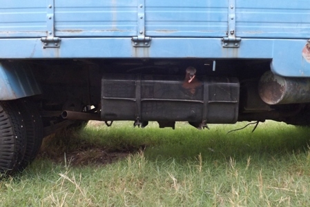 รถขายแล้วตครับเหลือแต่ถังส้วม ขายสองหมื่นครับ