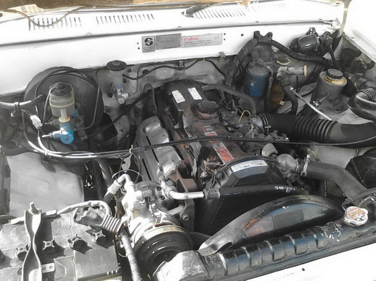 ไมตี้ปี97