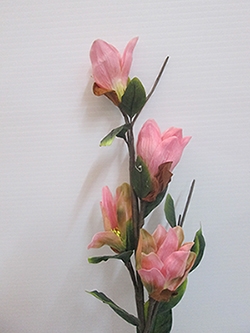 ขายดอกไม้ประดิษฐ์ ดอกไม้ประดับบ้าน ดอกไม้ใส่แจกัน ดอกไม้จัดช่อ