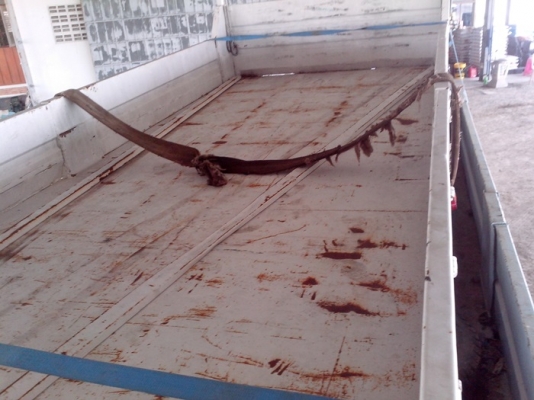 ขายกระบะเหล็ก รถบรรทุกหกอีซูซูร็อคกี้ กระบะยาว 6 เมตร กว้าง 2.40 เมตร ขายกระบะเหล็ก รถบรรทุกหกอีซูซูร็อคกี้ กระบะยาว 6 เมตร กว้าง 2.40 เมตร