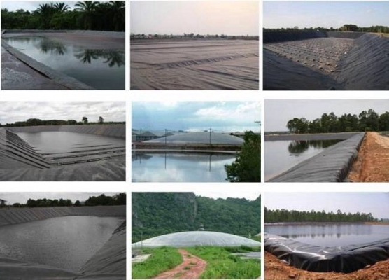 มีแม็คโคร pc 30 โกเบ 135 ให้เช่ารายวัน รายเดือน มีแม็คโคร pc 30 โกเบ 135 ให้เช่ารายวัน รายเดือน