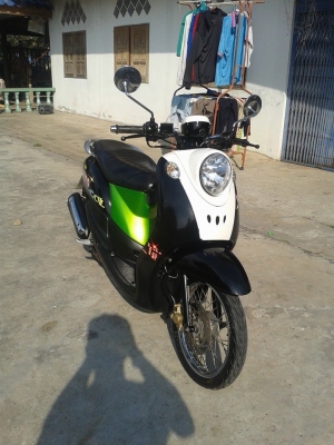 ขายฟีโน่เดิมๆ ขายฟีโน่เดิมๆ