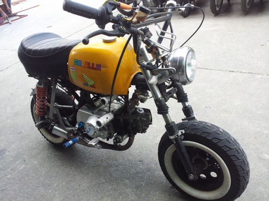 ขายได้ขาย กอลิล่า 110 อินวอย