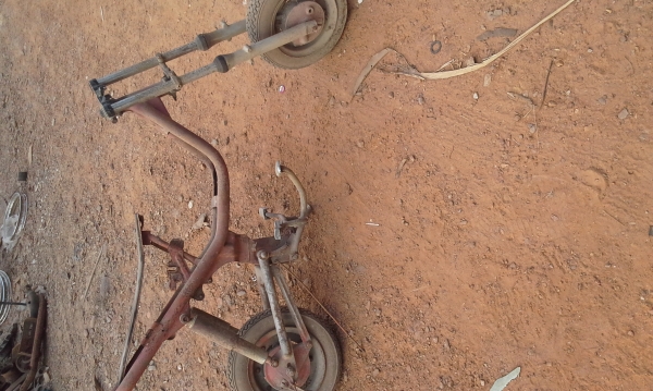 ขายโคลงชิบปี้ ขายโคลงชิบปี้