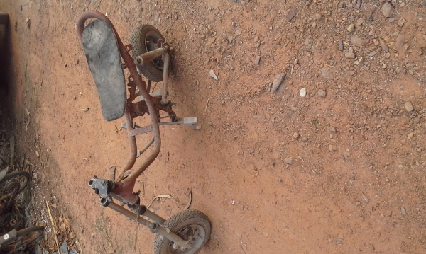 ขายโคลงชิบปี้