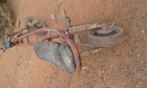 ขายโคลงชิบปี้ ขายโคลงชิบปี้