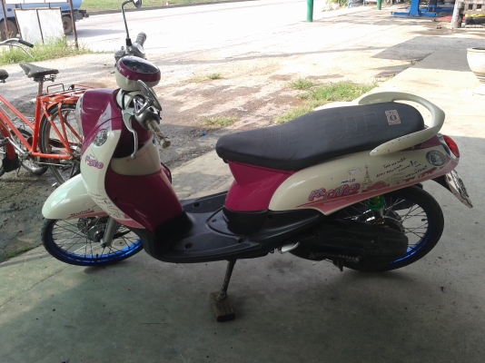 ฟีโน่ ปี 51