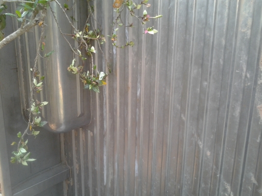 ขายตามสภาพกะบะเลสอีซูซุเคบี