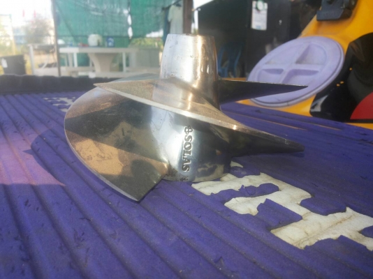 ขายใบแต่งบัดเตอร์1