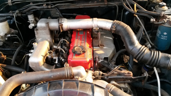 ขายนิสสันบิกเอ็มคิงแคป ขายนิสสันบิกเอ็มคิงแคป