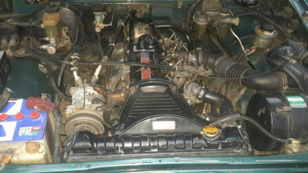 ไมตี้เอ็กซ์ แค๊ป สีเขียว หน้า หลัง เดิม เพาเวอร์แท้ ไมตี้เอ็กซ์ แค๊ป สีเขียว หน้า หลัง เดิม เพาเวอร์แท้