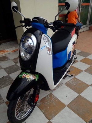 รุ่นใหม่ล่าสุด All New Honda Scoopy i ปี 2557 สีน้ำเงิน ขาว ลาย Monkey DO รถอย่างสวย ประหยัดน้ำมัน