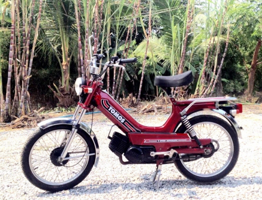 ขาย tomos ปั่นได้