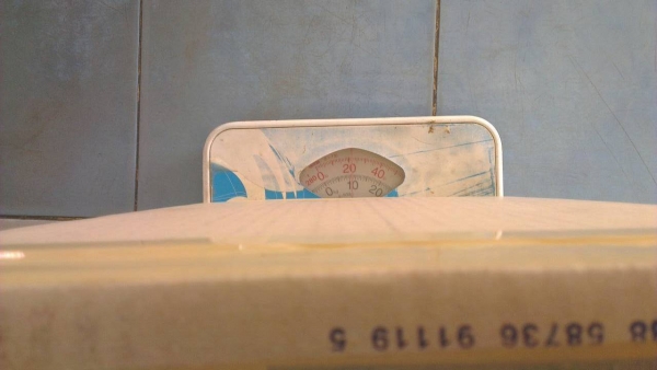 Turbo Isuzu Dragon Turbo Isuzu Dragon