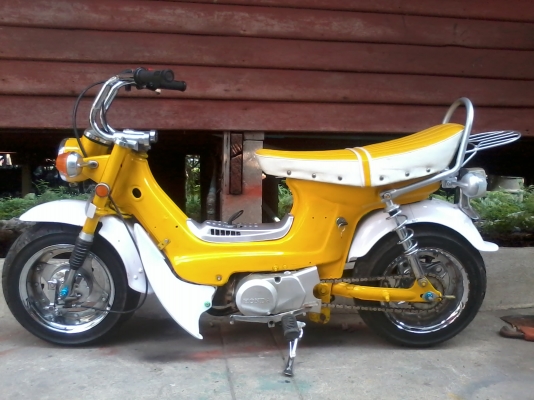 ชาลีสีเหลือง ราคาไม่แพงเวอร์ครับ