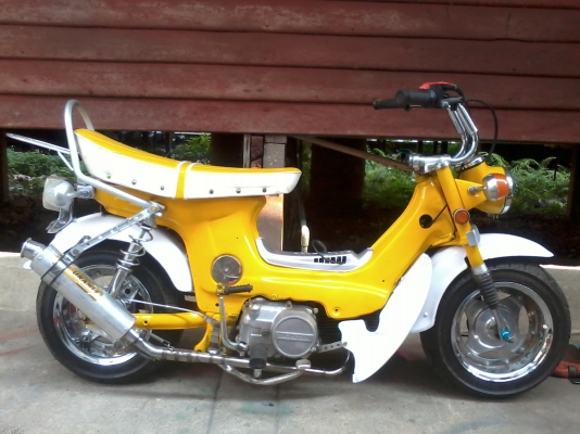 ชาลีสีเหลือง ราคาไม่แพงเวอร์ครับ