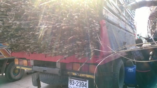 หัวยาว สภาพดีราคาไม่แรง รถใช้งานปกติดี โทร081 074 5778 ลุงโหนกรับสาย