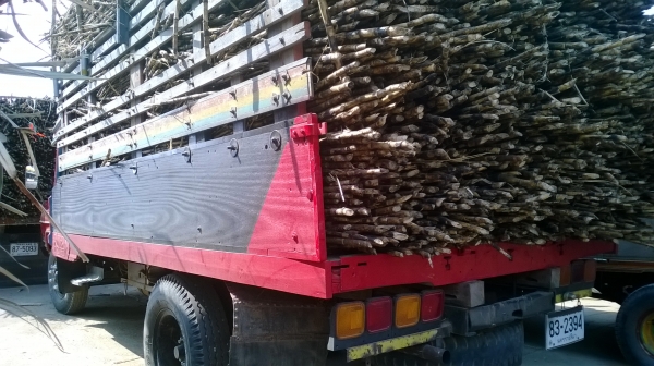 หัวยาว สภาพดีราคาไม่แรง รถใช้งานปกติดี โทร081 074 5778 ลุงโหนกรับสาย