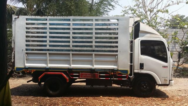 ขายหกล้อดั้ม ISUZU NMR130 ปี55