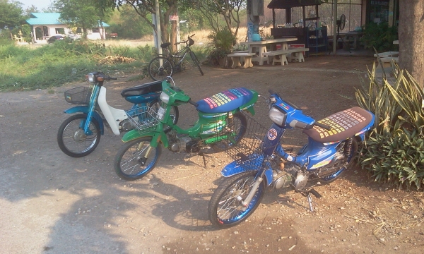 ขาย ดรีมคุรุ เครื่องเวฟ125 สภาพสวยๆ เครื่องเเรงๆ(สำเนาทะเบียนโครง) ค่าตัว 11500 บาท โทรสอบถาม 089-8054390 โอ๋ อยู่จังหวัด ลพบุรี