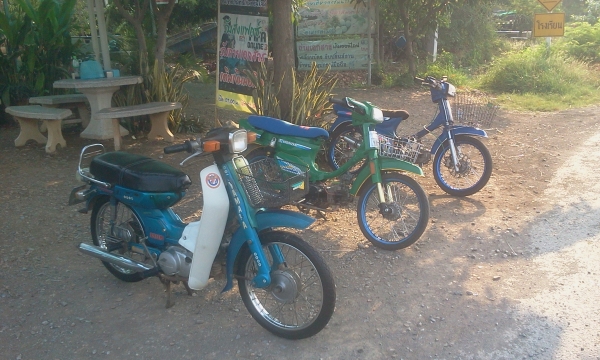 ขาย ดรีมคุรุ เครื่องเวฟ125 สภาพสวยๆ เครื่องเเรงๆ(สำเนาทะเบียนโครง) ค่าตัว 11500 บาท โทรสอบถาม 089-8054390 โอ๋ อยู่จังหวัด ลพบุรี