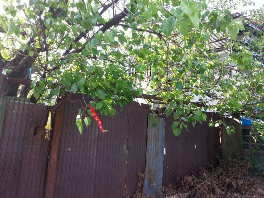 ให้เช่าที่ดิน แถวเลี่ยงเมือง สนามบินน้ำ นนทบุรี ให้เช่าที่ดิน แถวเลี่ยงเมือง สนามบินน้ำ นนทบุรี