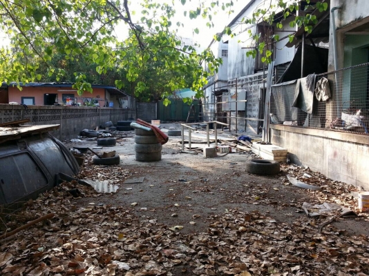 ให้เช่าที่ดิน แถวเลี่ยงเมือง สนามบินน้ำ นนทบุรี ให้เช่าที่ดิน แถวเลี่ยงเมือง สนามบินน้ำ นนทบุรี