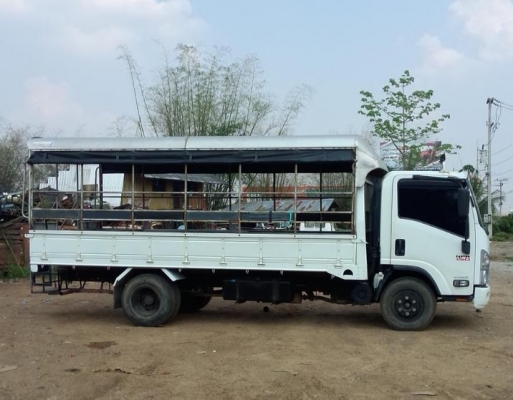 NPR150 กระบะ4.90ม.หลังคาโดยสาร นั่วสองแถว