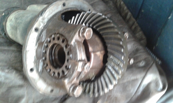 เฟื่องเบี้ยน ขาย 8/41 หลังเสื้อเหล็กใหญ่เต็ดหน้ามิเนียมใหญ่ เฟื่องเบี้ยน ขาย 8/41 หลังเสื้อเหล็กใหญ่เต็ดหน้ามิเนียมใหญ่