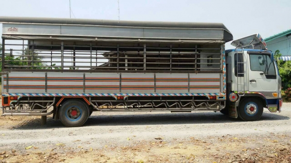 หกล้อ HINO FD-1JPC~HO8G-210แรง แอร์ power ทิ๊ฟฟี สภาพดีสวย(นางฟ้า)ช่วงยาว7.20มยาง8.25ดีทุกเส้น เอกสาร ทะเบียนพร้อมโอน