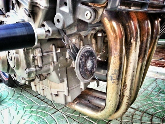 ขายHonda CB900 HORNET ปี 2004 ( japan )