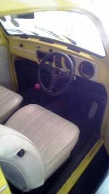 **ขาย น้องเต่าน่ารักๆvw ตาตั้ง ปี 67**