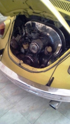 **ขาย น้องเต่าน่ารักๆvw ตาตั้ง ปี 67**