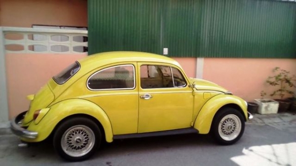 **ขาย น้องเต่าน่ารักๆvw ตาตั้ง ปี 67**