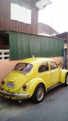 **ขาย น้องเต่าน่ารักๆvw ตาตั้ง ปี 67**